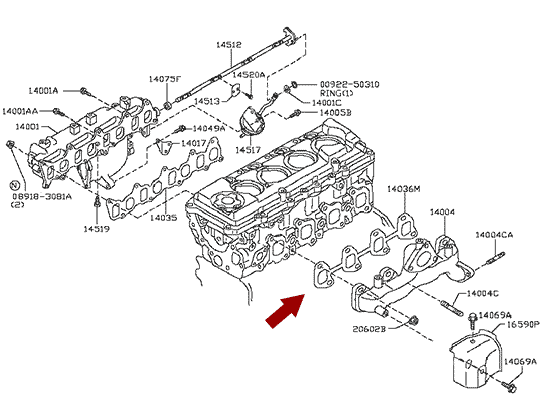 На схеме показано размещение прокладки выпускного коллектора NISSAN CABSTAR F24, дв. ZD30DDTI, 14036VC300, оригинал