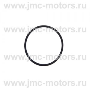 Кольцо масляное распредвала JMC 1051 Евро3, Евро4
